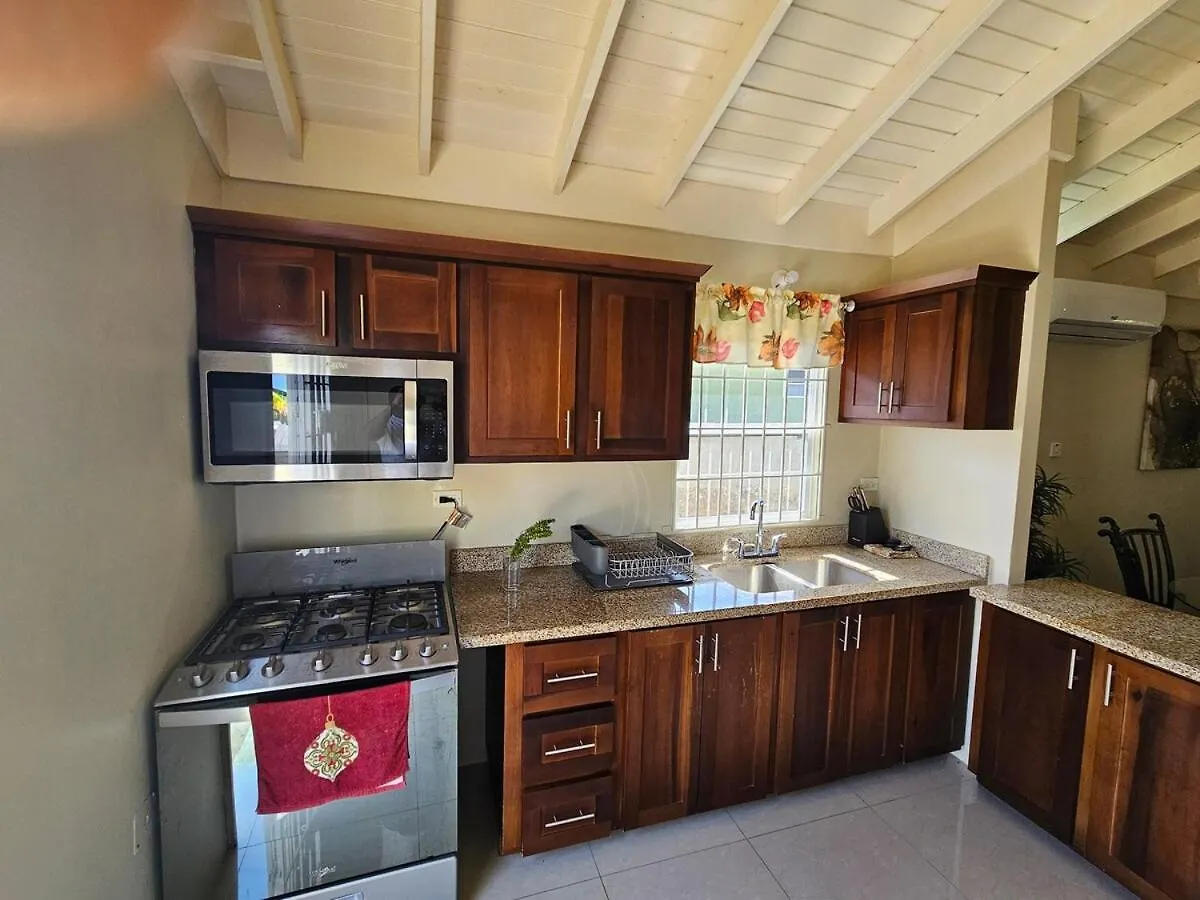 Flex Villa All Inclusive Ja Falmouth Jamaica